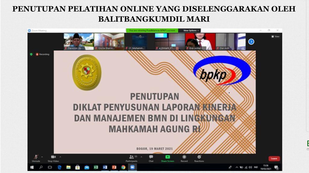 Picta.jpg